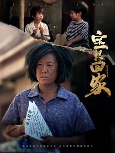 宝贝回家 短剧版