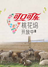 桃花坞开放中第4季