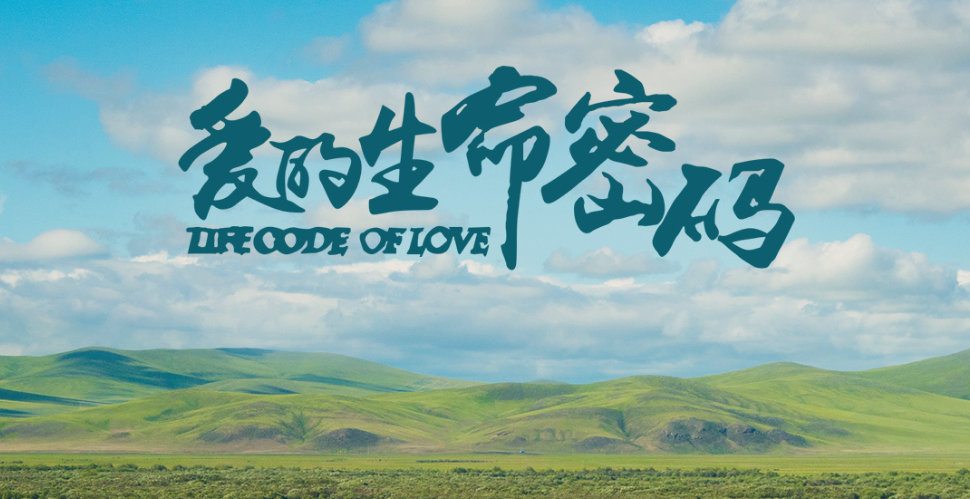 爱的生命密码