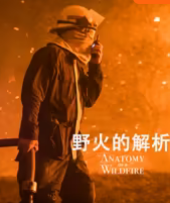 野火的解析